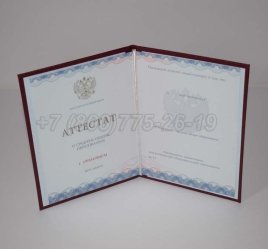 Аттестат За 11 Класс 2023г Золото ГОЗНАК в Пскове
