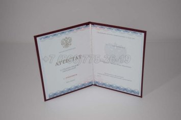 Аттестат За 11 Класс 2023г Золото ГОЗНАК в Пскове