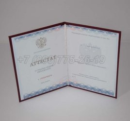 Аттестат За 11 Класс 2021г Золото ГОЗНАК в Пскове