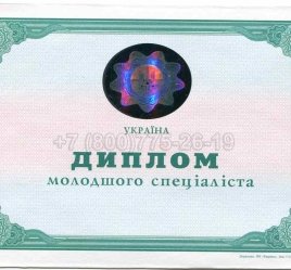 Диплом Техникума Украины 2013г в Пскове