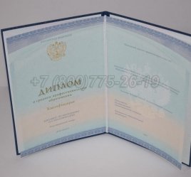 Диплом Техникума 2022г СпецБланк в Пскове