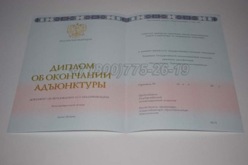 Диплом Адъюнктуры 2024г в Пскове