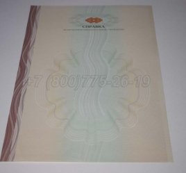 Академическая Справка ВУЗа 2019г в Пскове