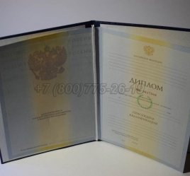 Диплом Института 2010г в Пскове