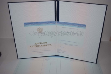 Диплом о Высшем Образовании 2025г СпецБланк в Пскове