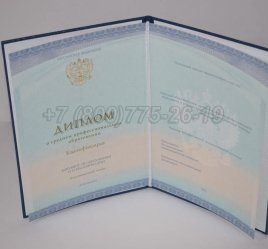 Диплом Техникума 2023г СпецБланк в Пскове