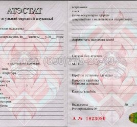 Аттестат о Полном Среднем Образовании Беларуси 2016г в Пскове