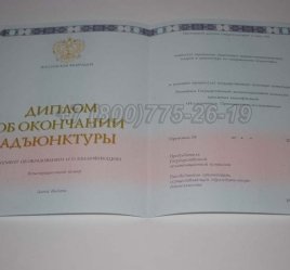 Диплом Адъюнктуры 2017г в Пскове
