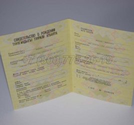Свидетельство о Рождении 1983г Киргизской ССР в Пскове
