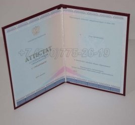Аттестат За 11 Класс 2020г Золото СпецБланк в Пскове