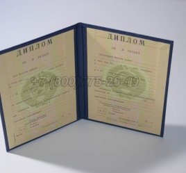 Диплом о Высшем Образовании Украинской ССР в Пскове